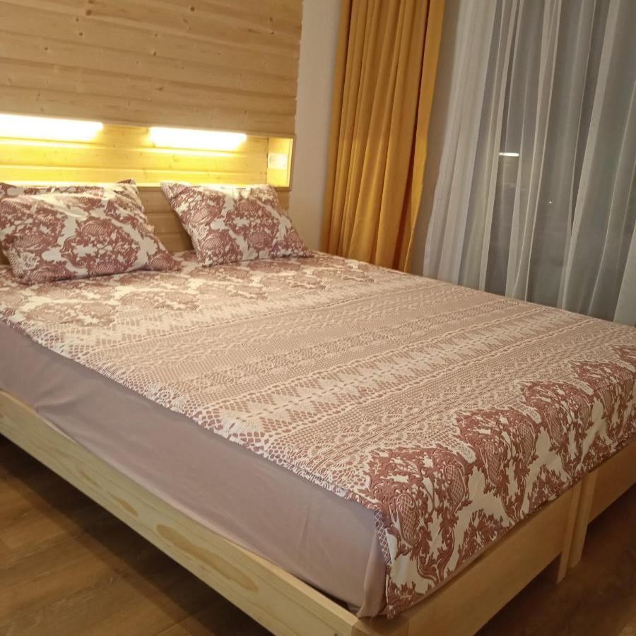 Roshka Apartment 307 Gudauri Bagian luar foto